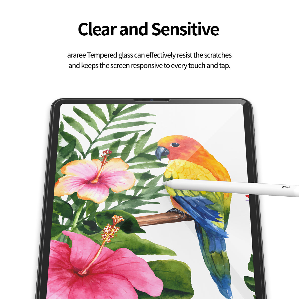 Araree Core Tempered Glass Screen Protector for iPad Pro M4 / iPad Air M2 (2024)